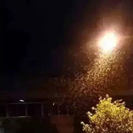 白蟻危害大，4-6月份進入其活躍期 防治白蟻不容忽視！